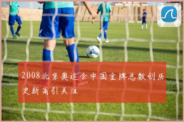 2008北京奥运会中国金牌总数创历史新高引关注