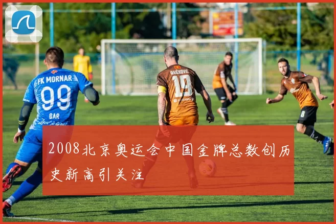 2008北京奥运会中国金牌总数创历史新高引关注